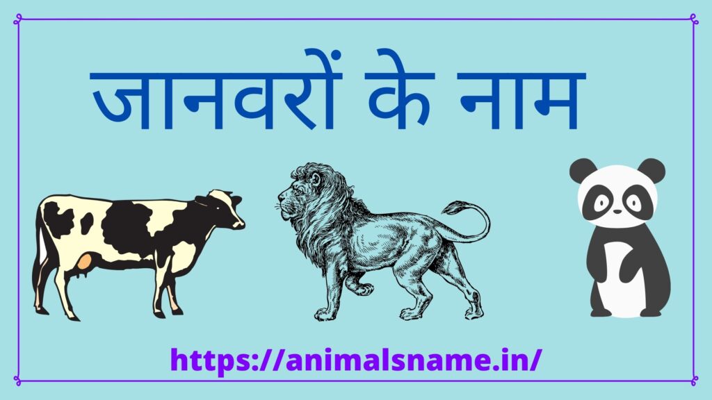 Animals Name In Hindi