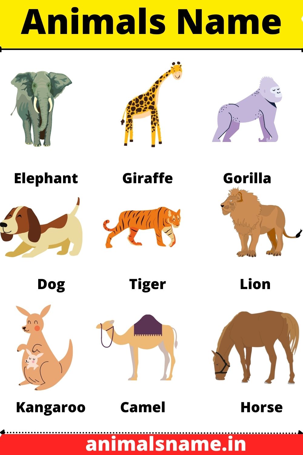100+ Animals Name in English With Picture