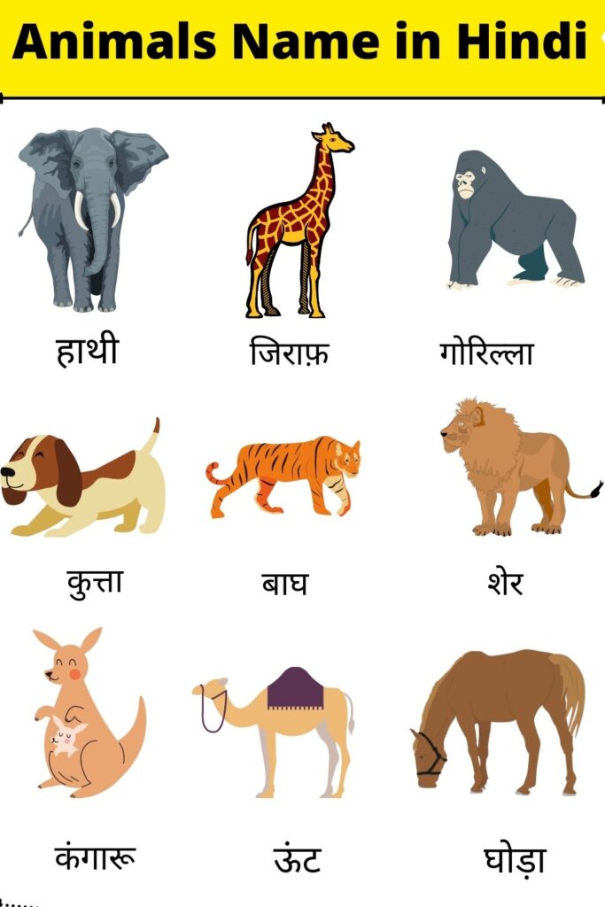 100+ Animals Name In Hindi (जानवरों के नाम) With Picture - Animals Name