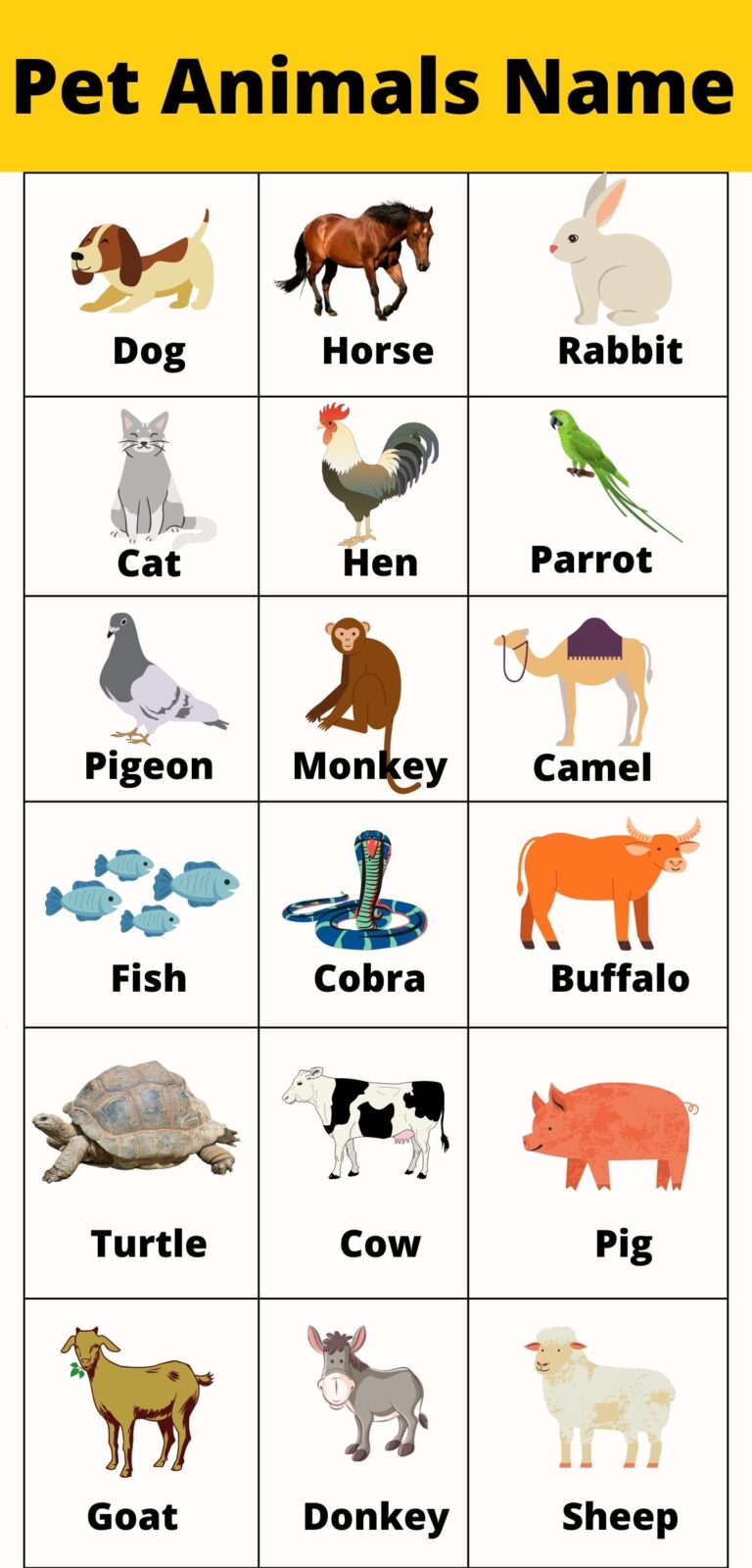 Pet Animals Name English & Hindi With Images - Animals Name