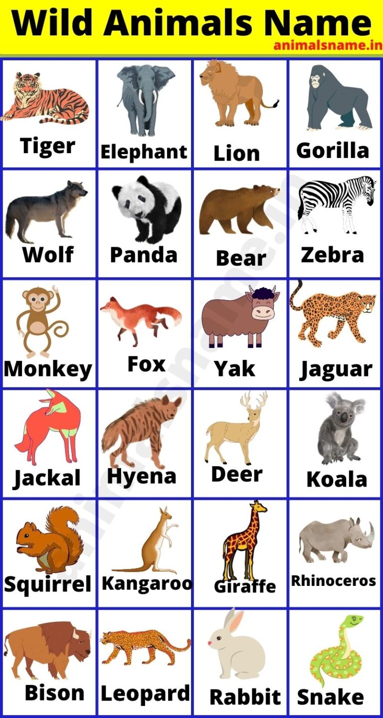 100+ Animals Name In English With Picture